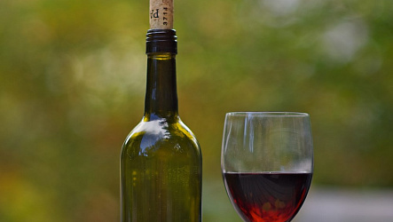 Как хранить открытое вино
